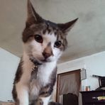 Hope Barron - Facebook
