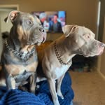 Hope Baxter - @pitties_of_papillion - Instagram