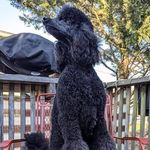Hope Bean - @hopen3n88 - Instagram