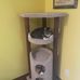 Hope Bernstein - Facebook