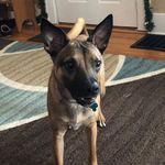 Hope Bertram - @hope_bertram - Instagram