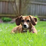 Hope Bertram - @hope_bertram1 - Instagram