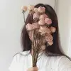 _bloomhope - @_bloomhope - TikTok