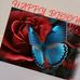 Happy Bloom - Facebook