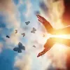 Hope Bloom - @hope.bloom1 - TikTok