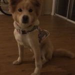 Hope Bowman - @hope_b15 - Instagram