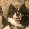 7221050424 - @hopeboyd867 - TikTok