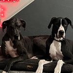 Hope Boyer - @lumpysgirl80 - Instagram