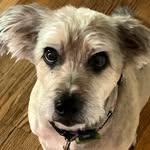 Hope Buchanan - @hope49045 - Instagram