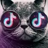 аля - @hopebutcher6 - TikTok