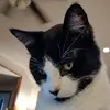 Hope Cates - @sargelovesfandoms - TikTok