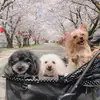 藤井 美里80 - @mooncherry.hope - TikTok