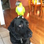 Hope N Greg Corbett - @greg_n_hope - Instagram