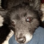 Hope Crum - Facebook