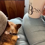 Hope - @cuddly_princess_hope - Instagram