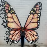 Maryville Realtor - @hopecuddrealtor - Instagram