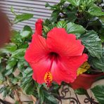 Hope Cuevas - Facebook