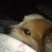 Hope Current - Facebook
