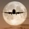 Daly Hope Daly - @daly.hope.daly - TikTok