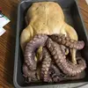 hopedaly845 - @exposing_ugly_lies - TikTok