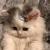 Hope Darling <3 - @dr.pepprr - TikTok