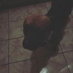 candice hope daugherty - @candicehopedau - Instagram