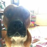 candice hope Daugherty - @candicedaugherty00 - Instagram
