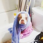 natalia hope daugherty - @nataliahoped - Instagram