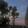 hope - @hopedawsonnn - TikTok