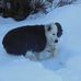 Hope Denison - Facebook