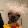 Hope - @hopedeyoungg - TikTok