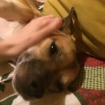 Hope Dibble - @hopedibble - Instagram