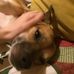 Hope Dibble - Facebook