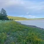 Hope Dickerson - @azcamplife - Instagram