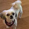 Hope Dillard - @hope.dillard - TikTok