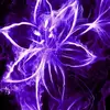 Hope Dlamini - @d.hope16 - TikTok