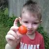 Hope Dodge - @hopedodge8 - TikTok