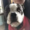 Hope.Donovan - @hope.donovan - TikTok