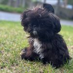 @hope.dossantos_ - Instagram