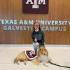 Hope Doss - @hope.m.doss - TikTok