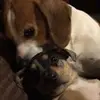 hope_elmore_ - @hope_elmore_ - TikTok