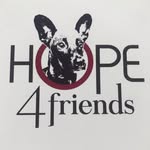 ⠀🐾 Hope4Friends🐾 - @hope_4_friends - Instagram