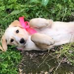 HOPE 4 FRIENDS - @hope_4_friends_sr - Instagram