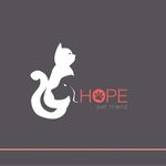 Hope 🐾 Dokter Hewan 🐾 Palu - @hope_pets_friend - Instagram