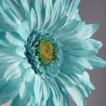 hope - @hope_friend - Instagram