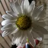 Hopefriendsdontfindths - @hopefriendsdontfindths - TikTok