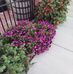 Barbara Fultz - Facebook