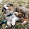 Hope Gale-Hendry - @bjornthegoodboi - TikTok