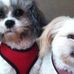 Hope Goff - Facebook