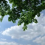 새벽바라기 - @hopegoodrich2 - Instagram
